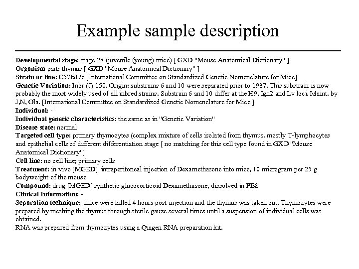 Example sample description Developmental stage: stage 28 (juvenile (young) mice) [ GXD "Mouse Anatomical