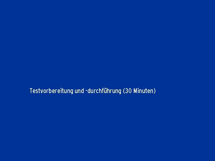 Testvorbereitung und -durchführung (30 Minuten) 