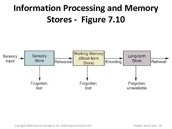 Information Processing and Memory Stores - Figure 7. 10 Copyright 2010 Pearson Education, Inc.