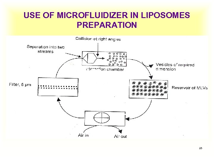 USE OF MICROFLUIDIZER IN LIPOSOMES PREPARATION 23 