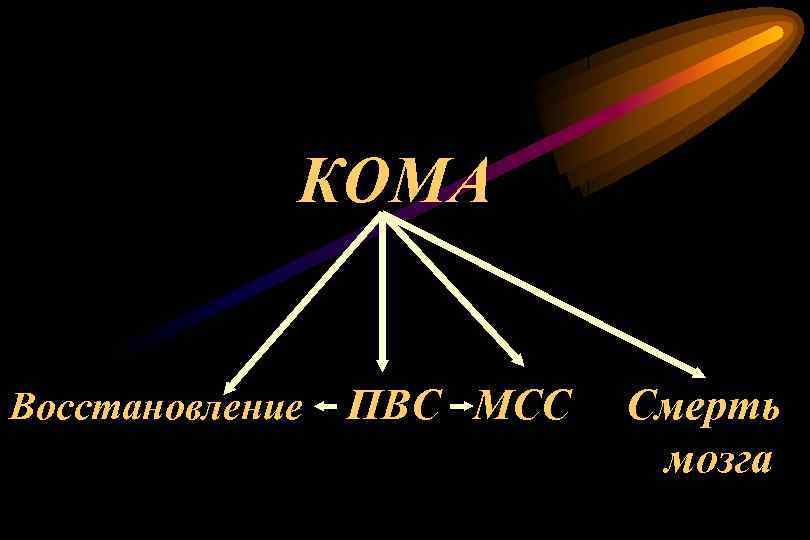 КОМА Восстановление ПВС МСС Смерть мозга 