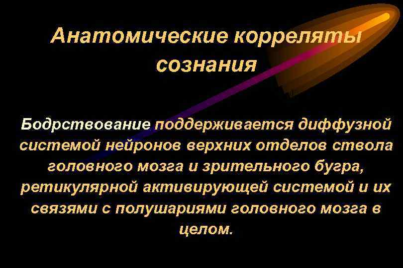 Анатомические корреляты сознания Бодрствование поддерживается диффузной системой нейронов верхних отделов ствола головного мозга и