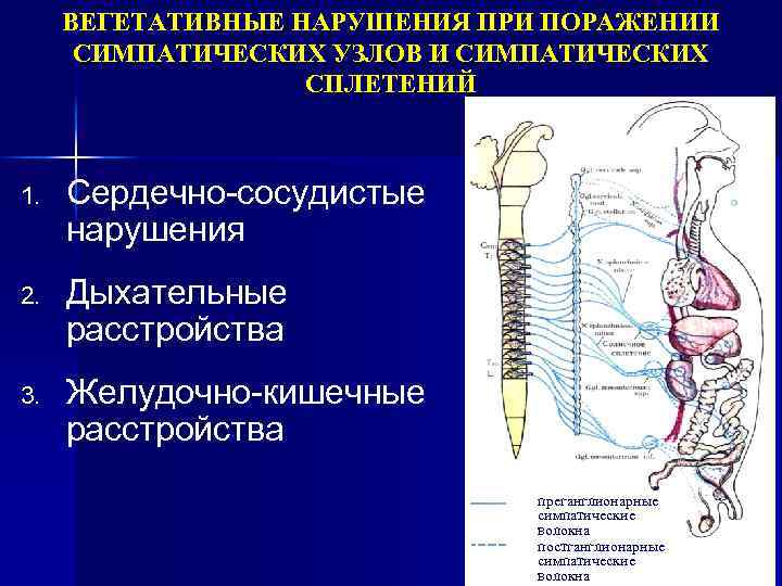 Дисфункция вегетативной нервной системы