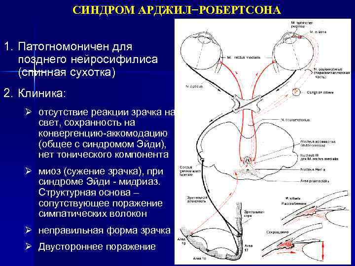 Расстройство вегетативной нервной системы смп карта вызова