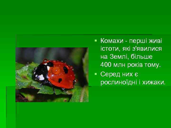 § Комахи - перші живі істоти, які з'явилися на Землі, більше 400 млн років
