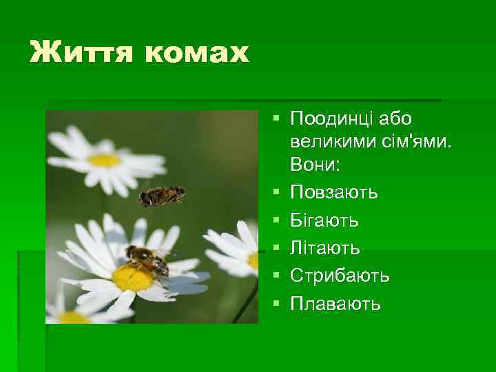 Життя комах § Поодинці або великими сім'ями. Вони: § Повзають § Бігають § Літають