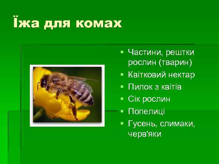 Їжа для комах § Частини, рештки рослин (тварин) § Квітковий нектар § Пилок з
