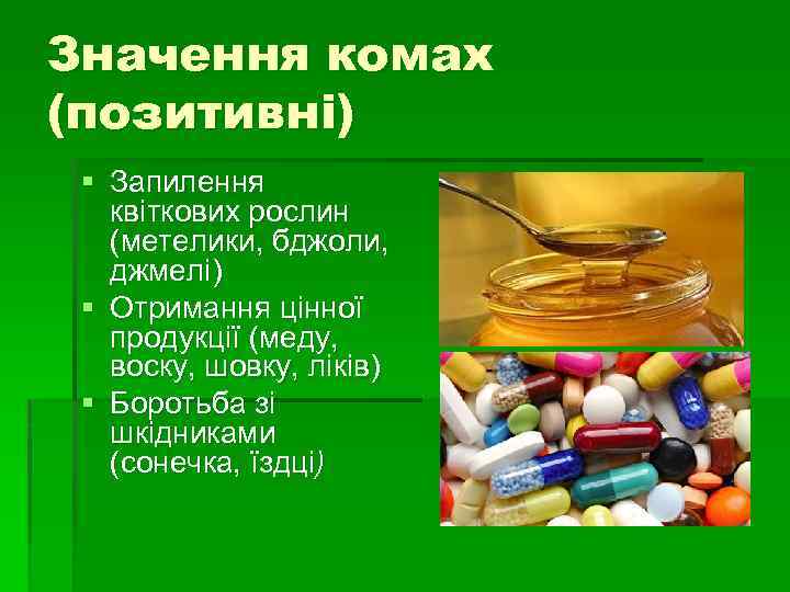 Значення комах (позитивні) § Запилення квіткових рослин (метелики, бджоли, джмелі) § Отримання цінної продукції