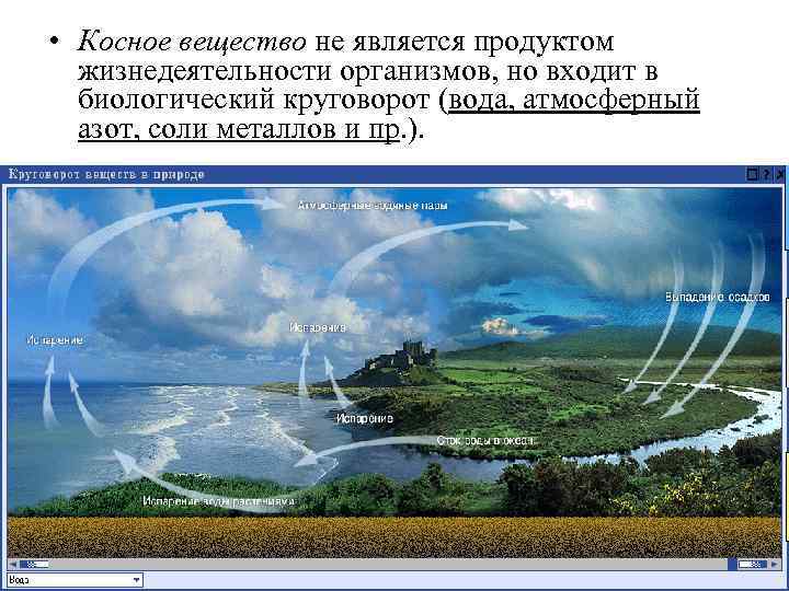  • Косное вещество не является продуктом жизнедеятельности организмов, но входит в биологический круговорот