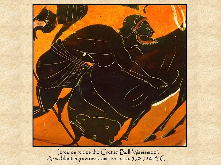 Hercules ropes the Cretan Bull Mississippi. Attic black figure neck amphora, ca. 530 -520