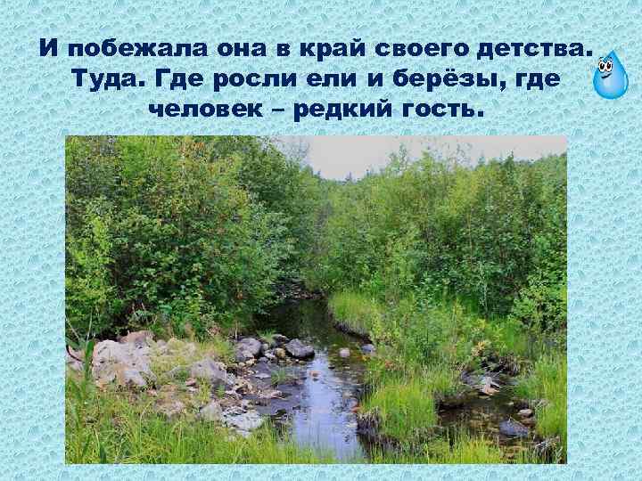 И побежала она в край своего детства. Туда. Где росли ели и берёзы, где