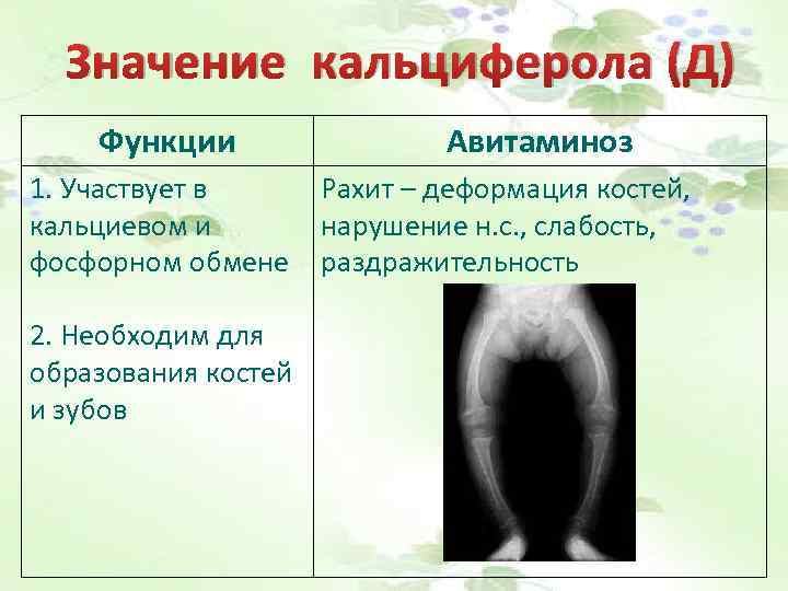 Значение кальциферола (Д) Функции 1. Участвует в кальциевом и фосфорном обмене 2. Необходим для