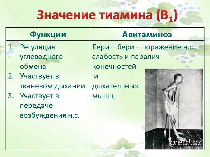 Значение тиамина (В 1) Функции 1. Регуляция углеводного обмена 2. Участвует в тканевом дыхании