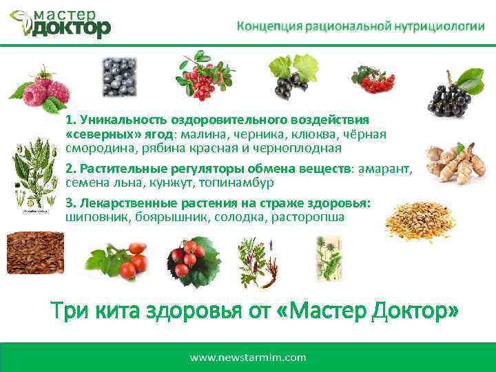 1. Уникальность оздоровительного воздействия «северных» ягод: малина, черника, клюква, чёрная «северных» ягод смородина, рябина