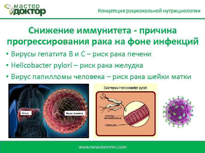 Снижение иммунитета - причина прогрессирования рака на фоне инфекций • Вирусы гепатита В и