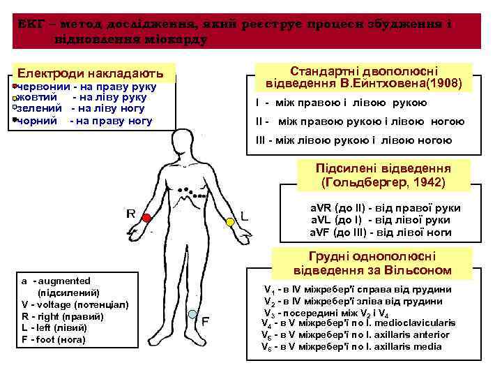 ЕКГ – метод дослідження, який реєструє процеси збудження і відновлення міокарду Електроди накладають червоний