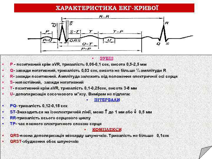 ХАРАКТЕРИСТИКА ЕКГ-КРИВОЇ • • • • ЗУБЦІ Р - позитивний крім a. VR, тривалість