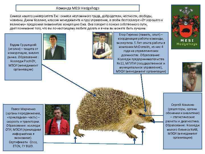 Команда MESI Hedgehogs Символ нашего университета Ёж - символ неутомимого труда, добродетели, честности, свободы,