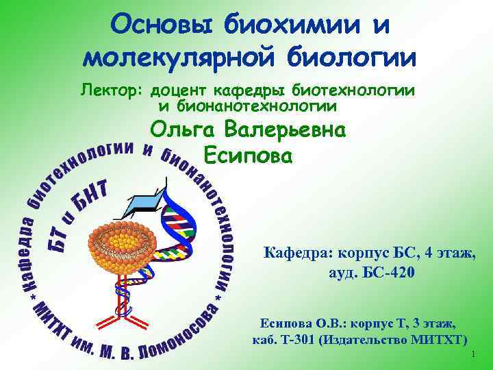 Основы биохимии и молекулярной биологии Лектор: доцент кафедры биотехнологии и бионанотехнологии Ольга Валерьевна Есипова