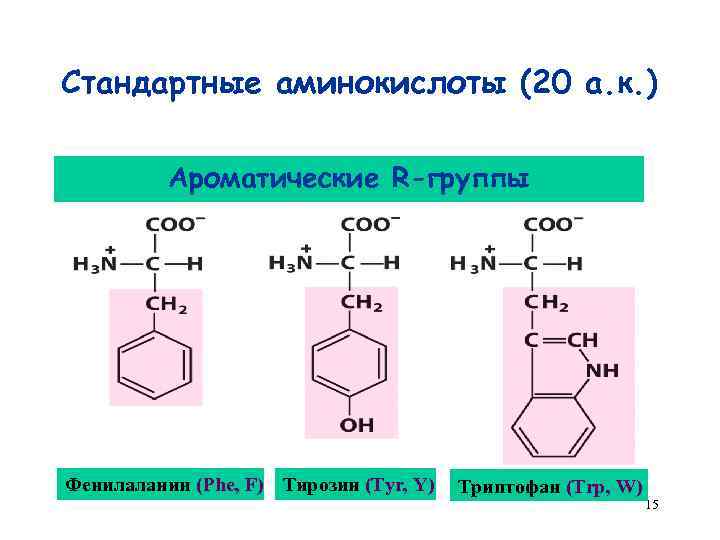 Стандартные аминокислоты (20 а. к. ) Ароматические R-группы Фенилаланин (Phe, F) Тирозин (Tyr, Y)