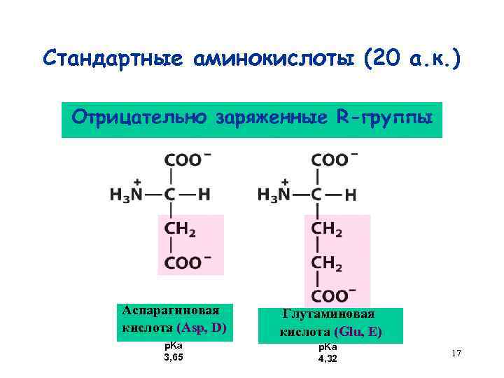 Кислотный заряд. Классификация аминокислот r групп. Полярные заряженные аминокислоты. Отрицательно заряженные аминокислоты. Заряды остатков аминокислоты.