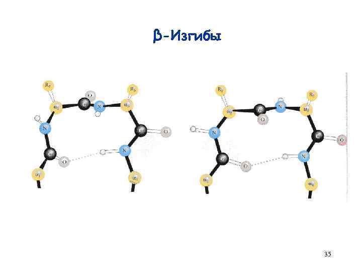 β-Изгибы 35 