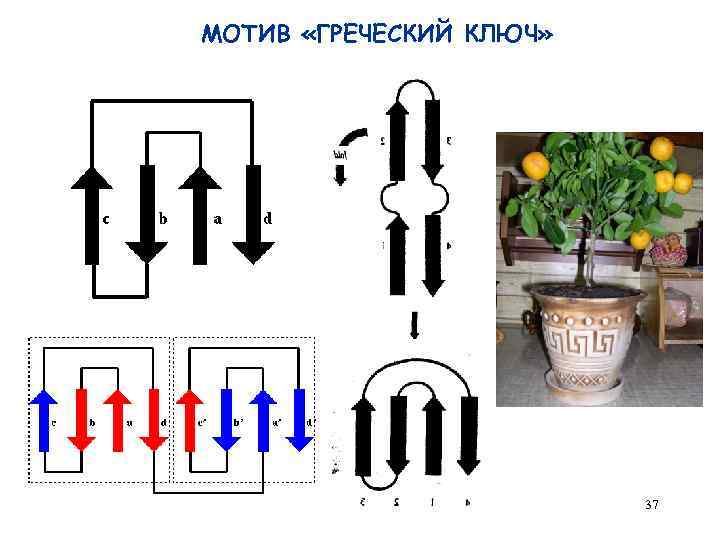 МОТИВ «ГРЕЧЕСКИЙ КЛЮЧ» 37 