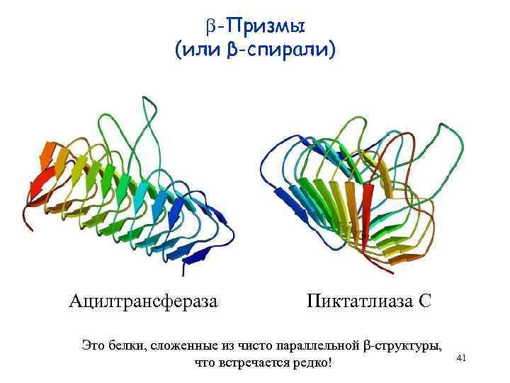  -Призмы (или β-спирали) Ацилтрансфераза Пиктатлиаза С Это белки, сложенные из чисто параллельной β-структуры,