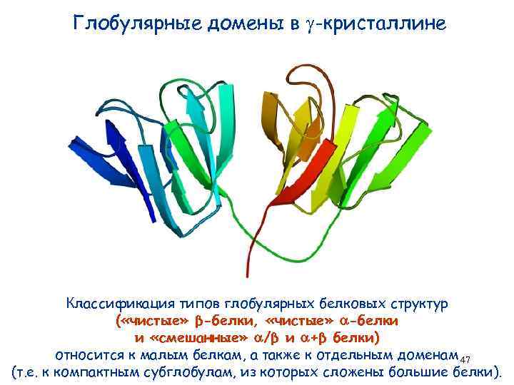 Глобулярные домены в -кристаллине Классификация типов глобулярных белковых структур ( «чистые» β-белки, «чистые» -белки