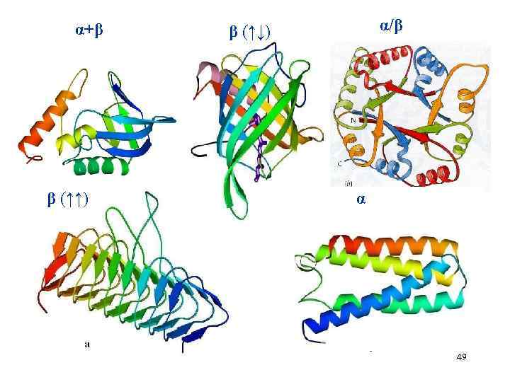 α+β β (↑↑) α/β β (↑↓) α 49 