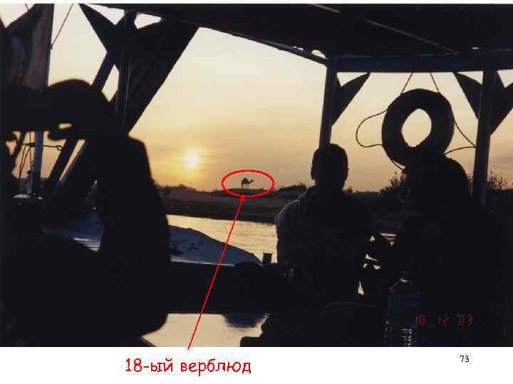 18 -ый верблюд 73 