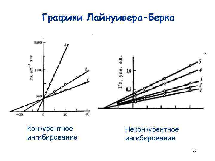 Графики Лайнуивера-Берка Конкурентное ингибирование Неконкурентное ингибирование 76 