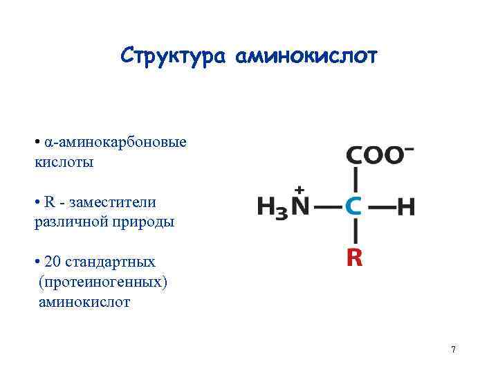 Строение аминокислоты схема