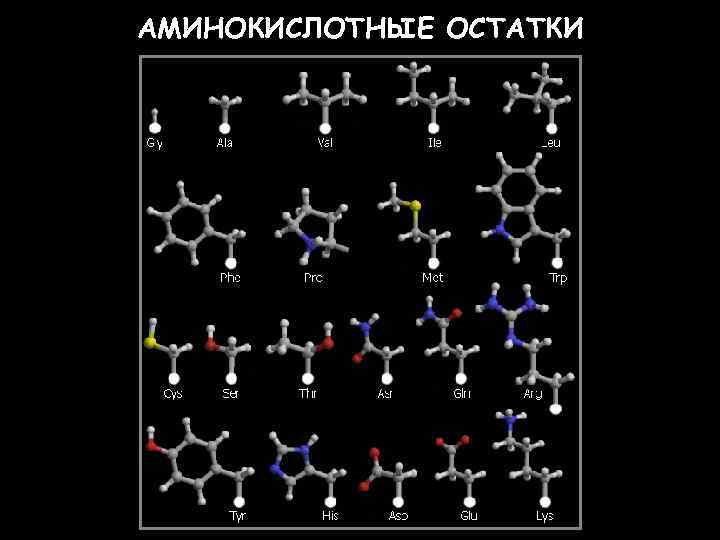 АМИНОКИСЛОТНЫЕ ОСТАТКИ 9 