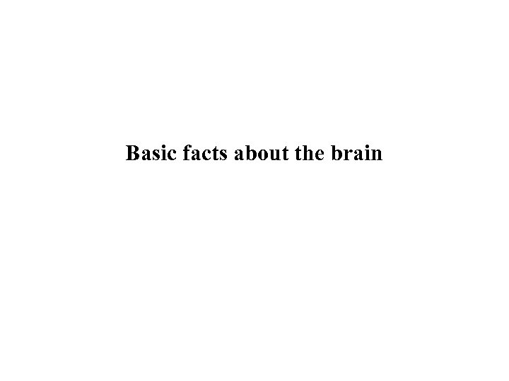 Basic facts about the brain 
