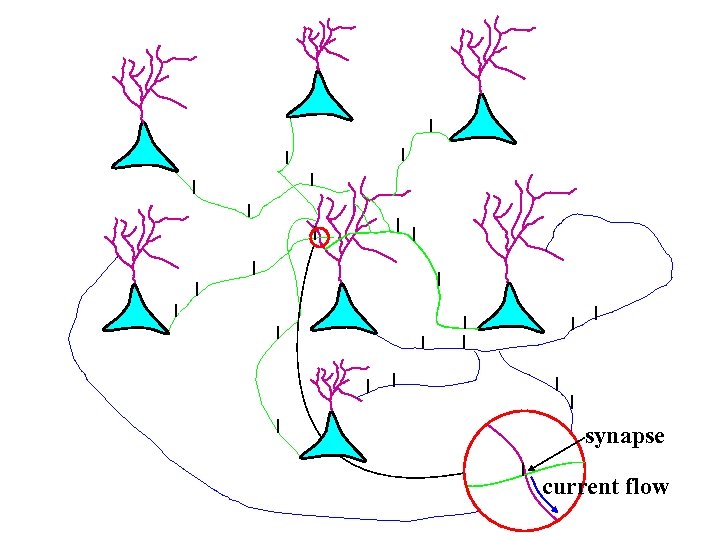 synapse current flow 