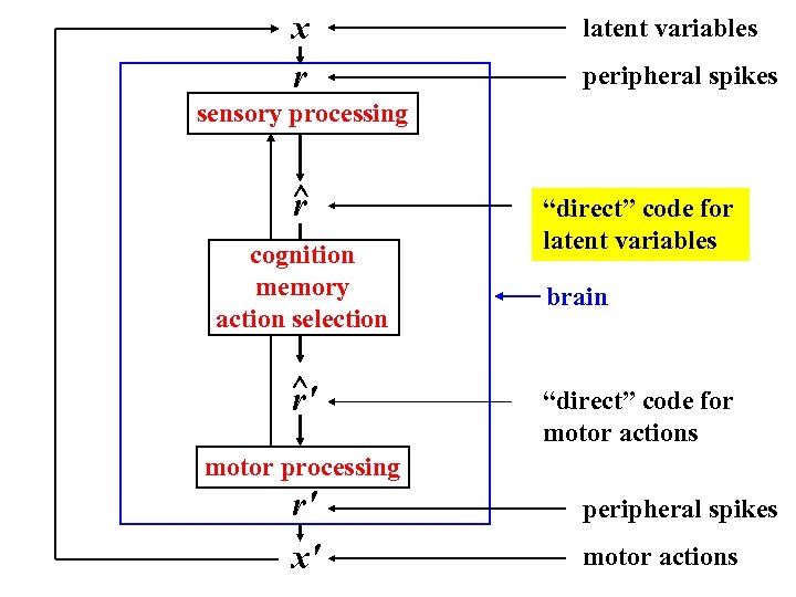x r latent variables peripheral spikes sensory processing ^ r cognition memory action selection