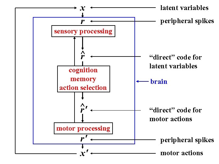 x r latent variables peripheral spikes sensory processing ^ r cognition memory action selection