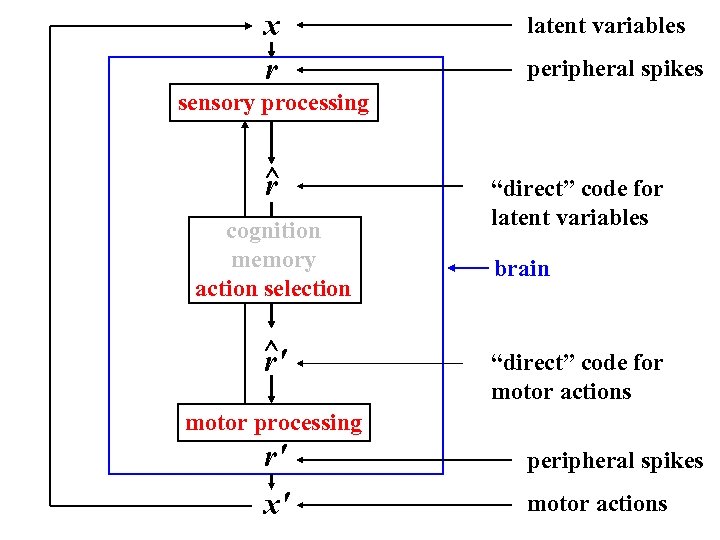 x r latent variables peripheral spikes sensory processing ^ r cognition memory action selection