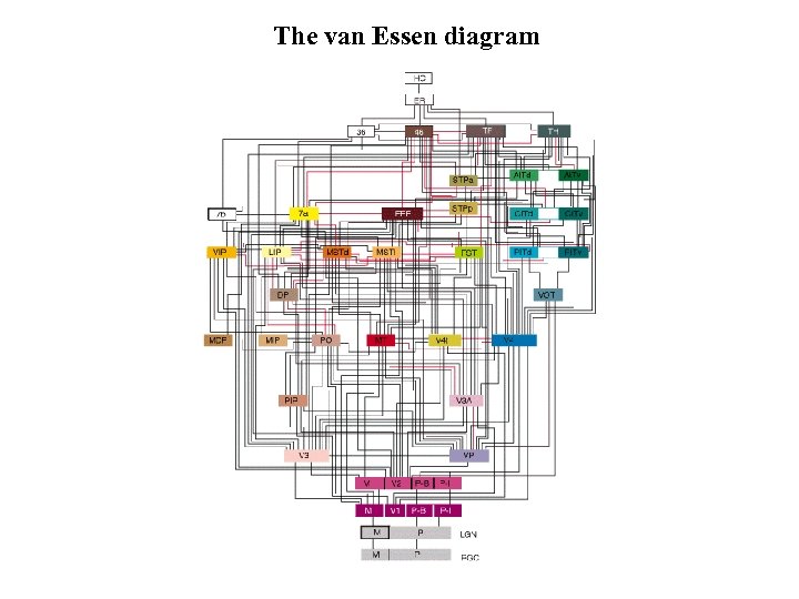 The van Essen diagram 