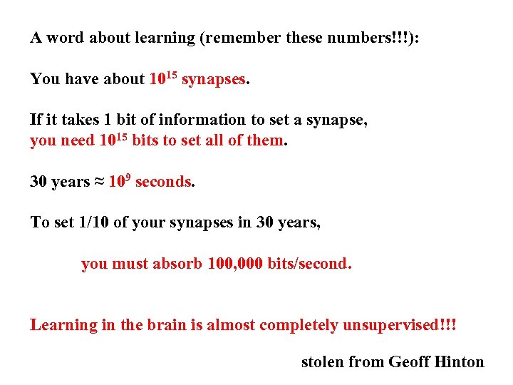 A word about learning (remember these numbers!!!): You have about 1015 synapses. If it