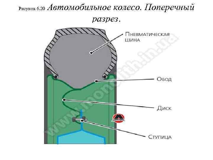 Рисунок 6. 20 Автомобильное колесо. Поперечный разрез. 