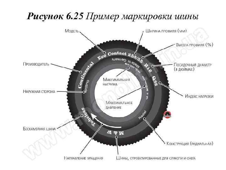 Рисунок 6. 25 Пример маркировки шины 