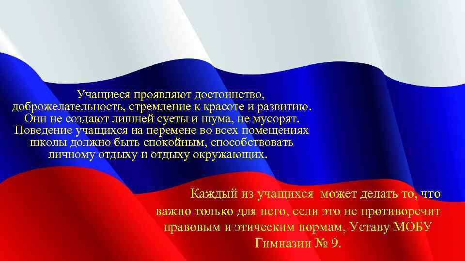 Учащиеся проявляют достоинство, доброжелательность, стремление к красоте и развитию. Они не создают лишней суеты