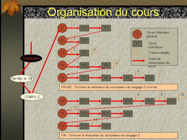 Organisation du cours T 1 1 P 2 T T 2 T 3 2