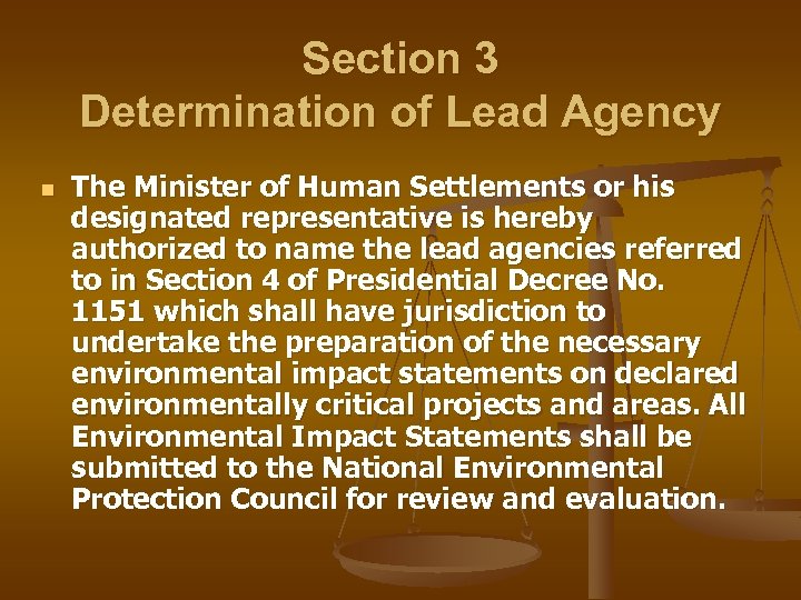 Section 3 Determination of Lead Agency n The Minister of Human Settlements or his