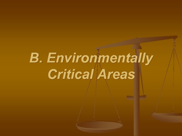 B. Environmentally Critical Areas 
