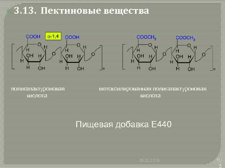  3. 13. Пектиновые вещества полигалактуроновая метоксилированная полигалактуроновая кислота кислота Пищевая добавка E 440