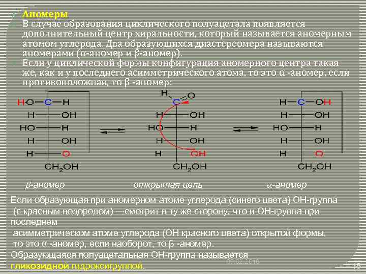  Аномеры В случае образования циклического полуацетала появляется дополнительный центр хиральности, который называется аномерным
