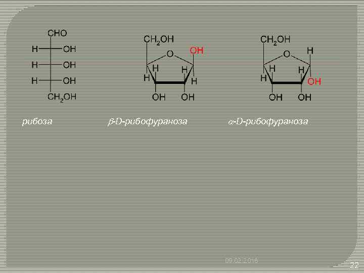 рибоза b-D-рибофураноза a-D-рибофураноза 09. 02. 2018 22 